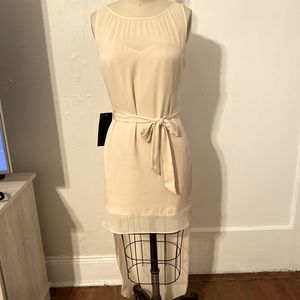 Sheer tail sleeveless silk dress